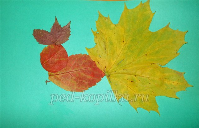 Аппликация из осенних листьев для детей раннего дошкольного возраста
