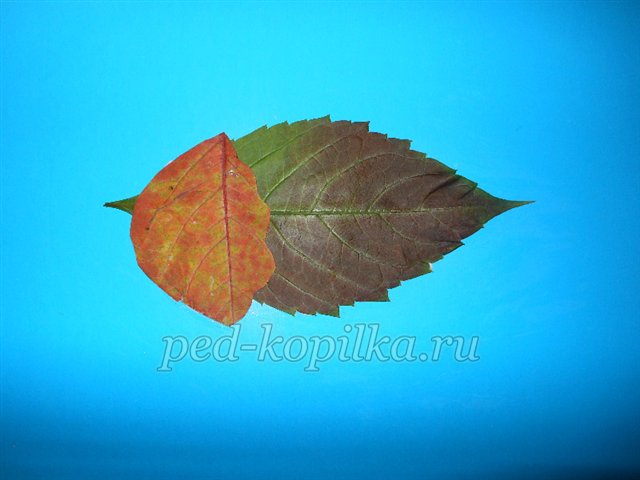 Аппликация из осенних листьев Осенний вальс цветов