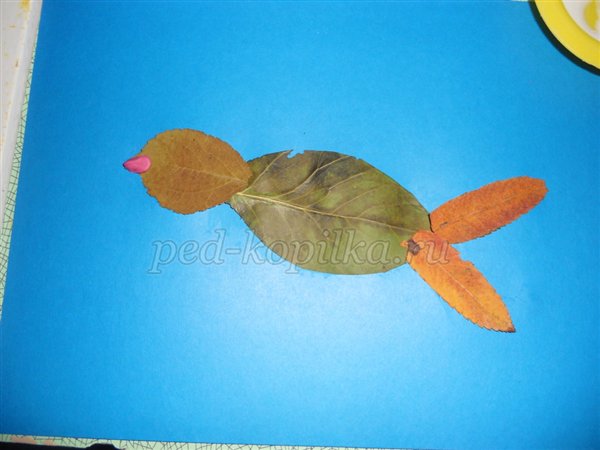  Аппликация из осенних листьев  для средней группы детского сада