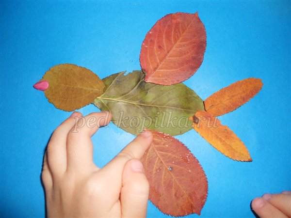  Аппликация из осенних листьев  для средней группы детского сада