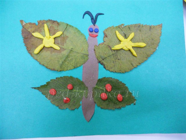 Аппликация из осенних листьев  для средней группы детского сада. Бабочка