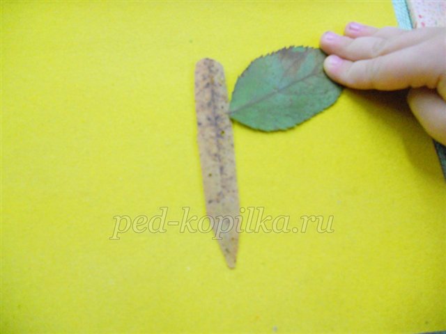 Аппликация из осенних листьев  для средней группы детского сада. Бабочка