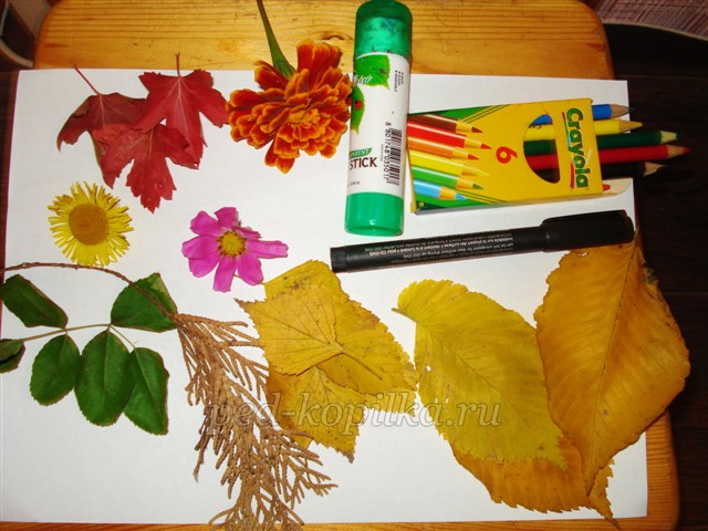 Аппликация из осенних листьев для детского сада