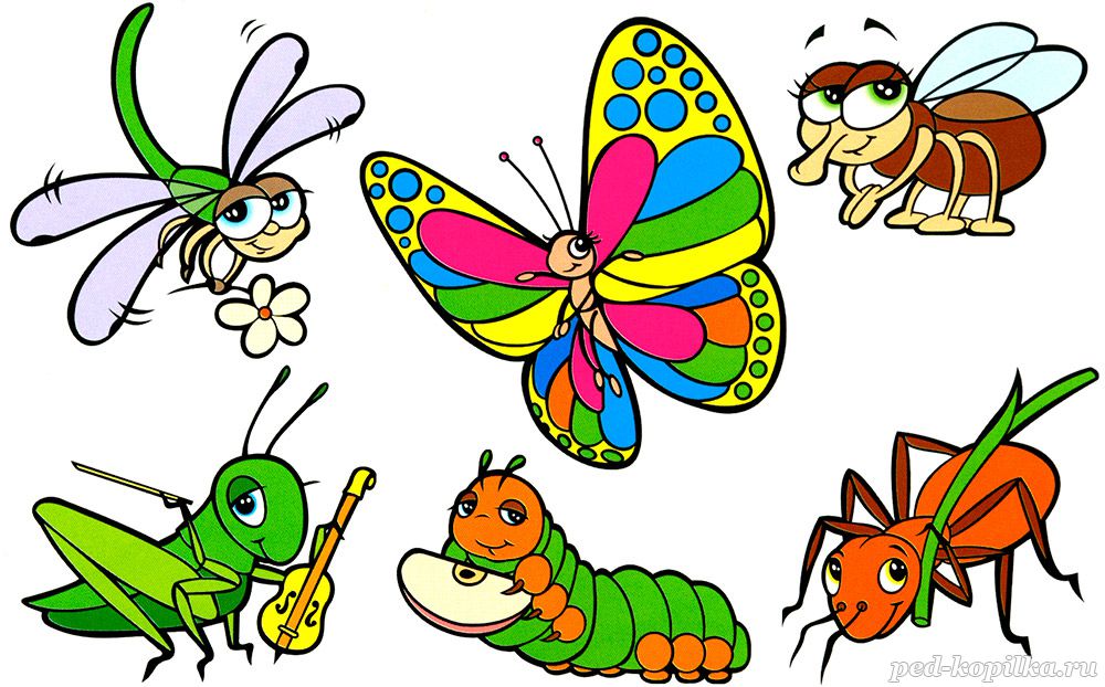 Картинки по запросу насекомые рисунки