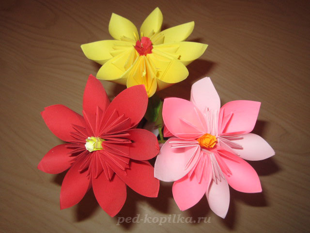 Цветы из бумаги мастер класс для детского сада