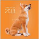 Мастер-класс «Изготовление символа 2018 года - золотого щенка»