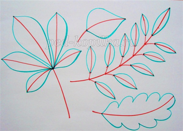 Как нарисовать осенние листья карандашом поэтапно