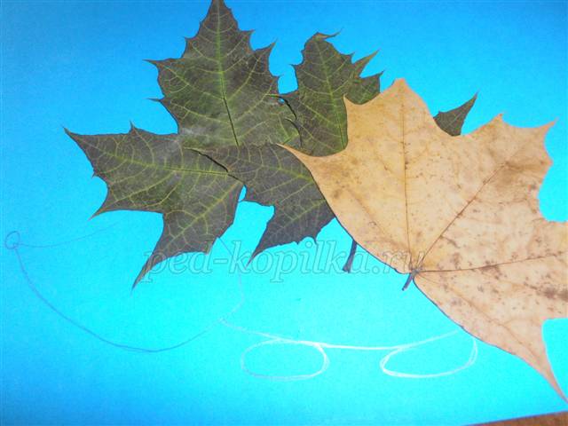 Аппликация из осенних листьев. Мастер-класс