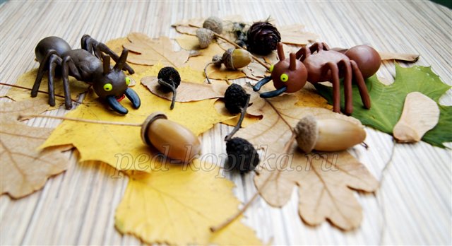 Поделки муравей из шишек и пластилина: идеи по изготовлению своими руками (44 фото)