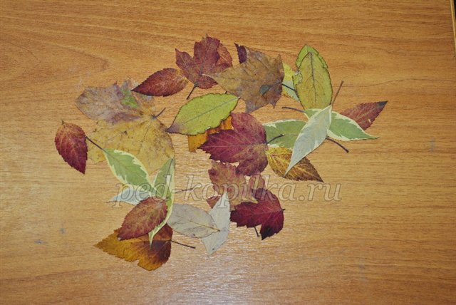 Осенняя композиция из листьев и солёного теста своими руками