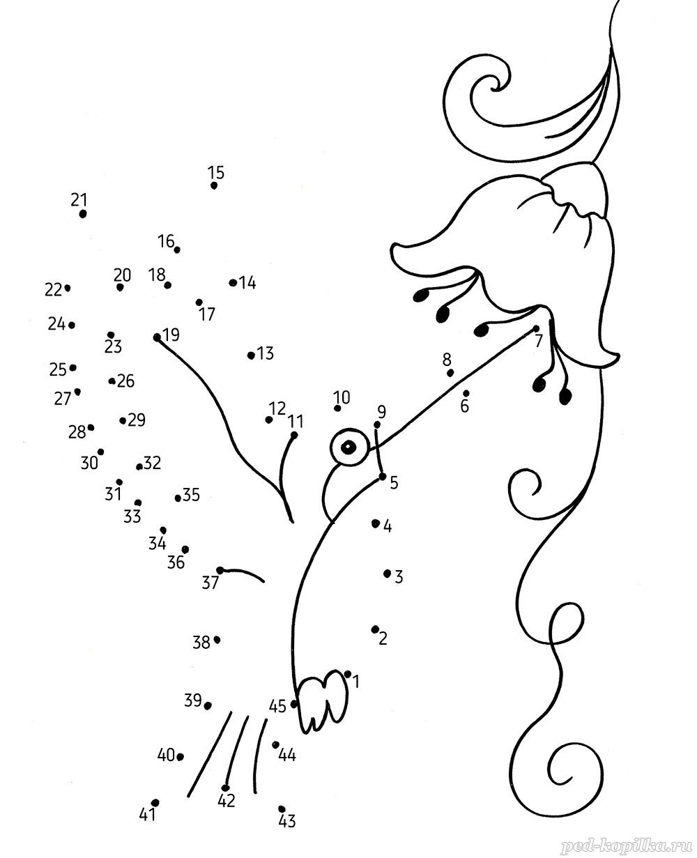 соедини рисунки по точкам для детей, картинки-раскраски | Раскраски, Точки, Рисование