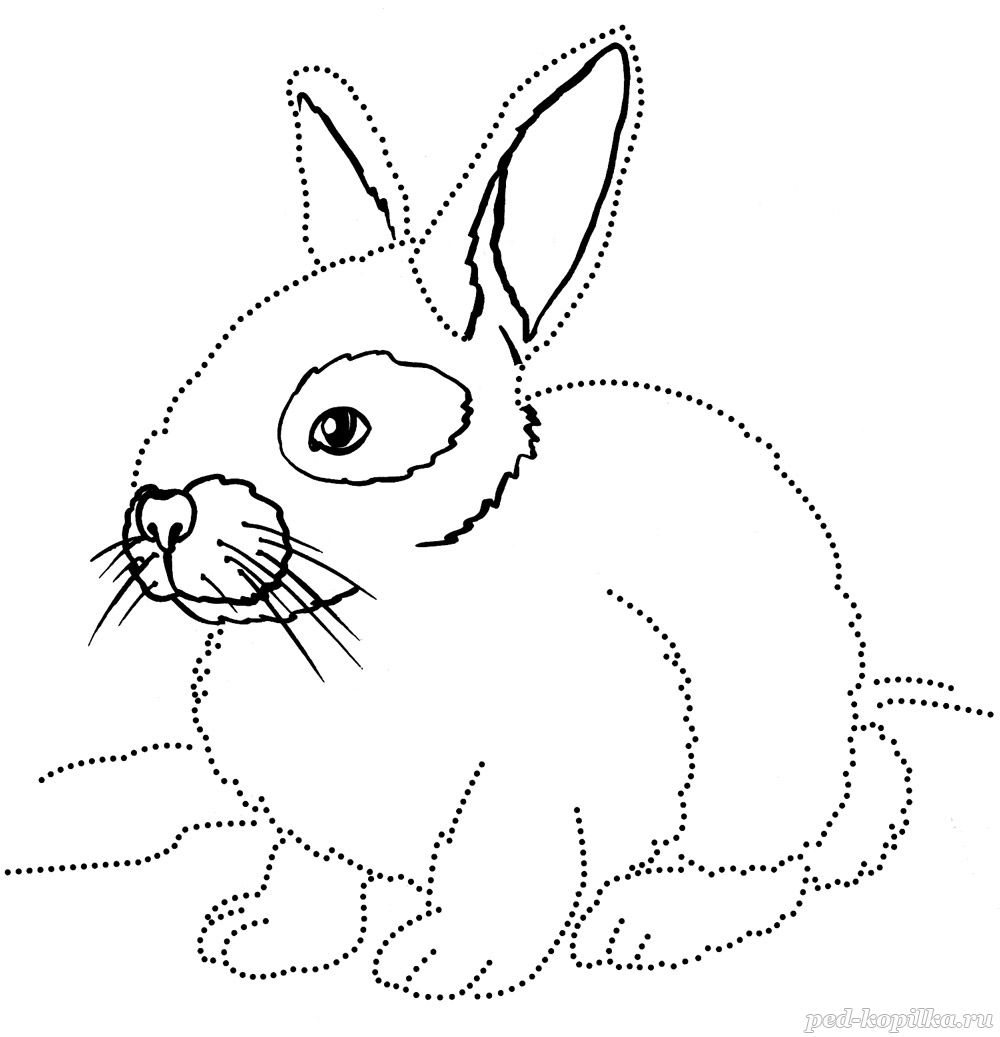 Коллекция раскрасок с зайцами и кроликами для детей