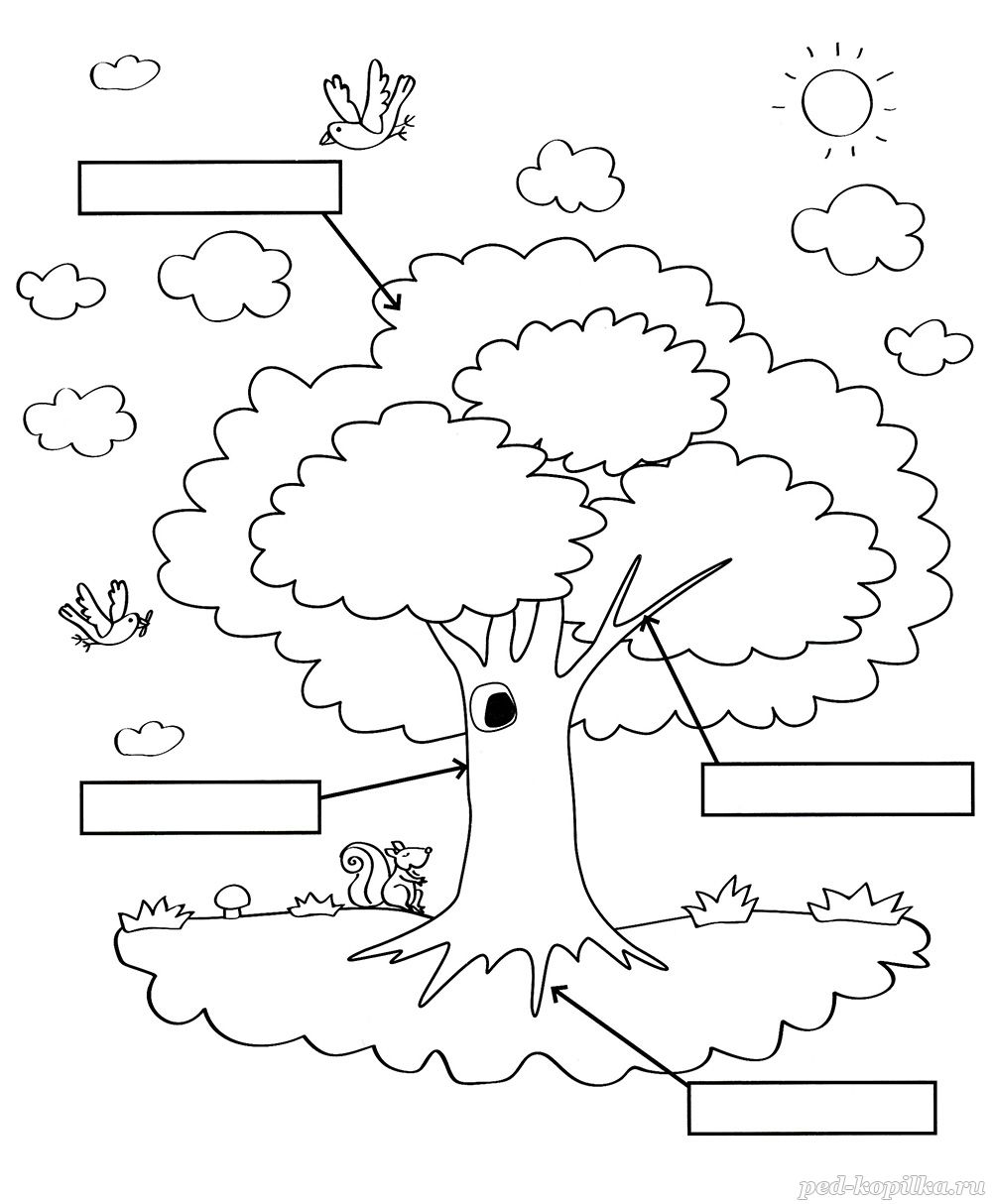 Задания для детей части дерева