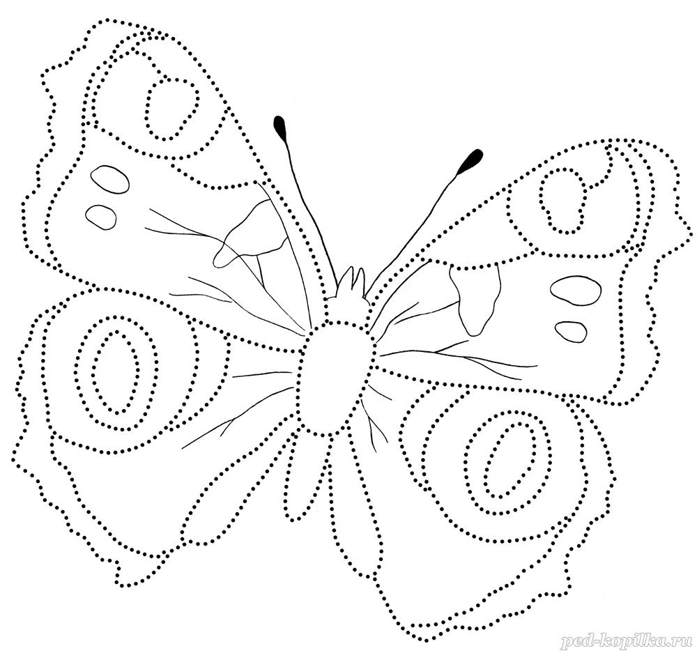 Раскраски Бабочки для детей