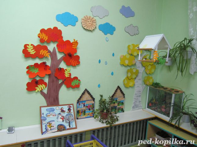 Уголок природы в детский сад (ДОУ)