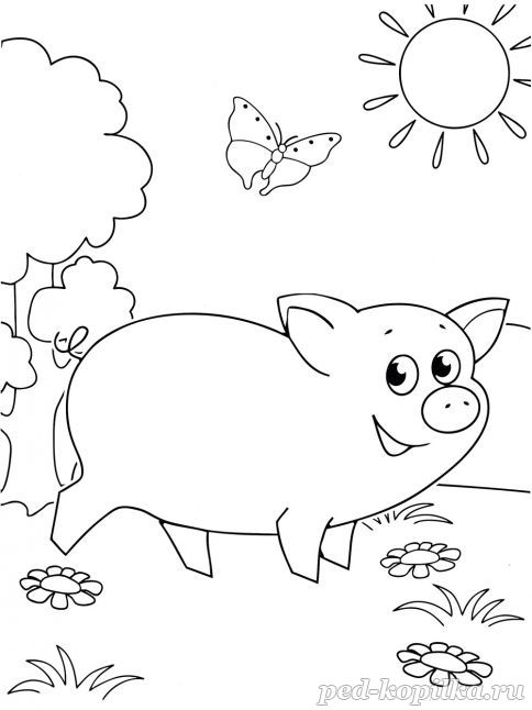 Раскраска Свинка для детей 3-5 лет