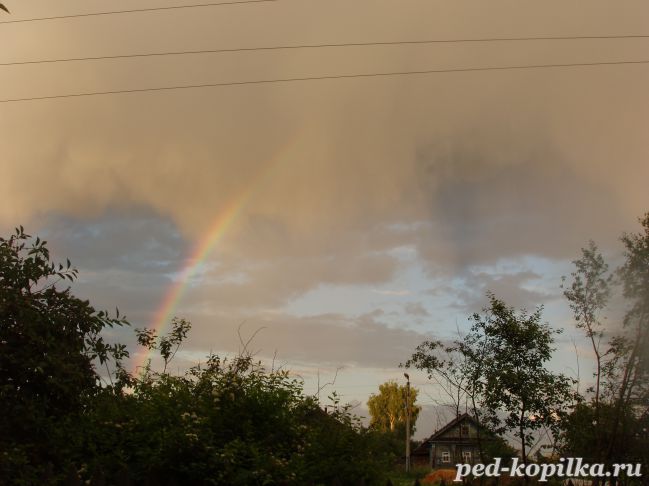 Фото радуга после дождя