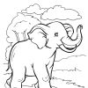 Раскраска для детей 5-7 лет. Слон