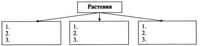 Картинки ДОПОЛНИ СХЕМУ ЧЕЛОВЕК