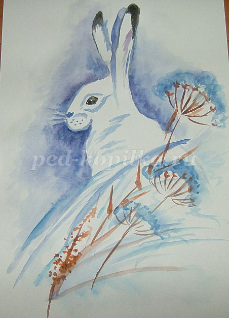 Заяц рисунок раскраска - 65 фото