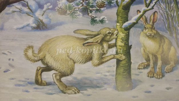 Развитие речи зайцы старшая группа. Заяц картина. Заяц живопись. Картина зайцы в старшей группе. Картина зайцы зимой.