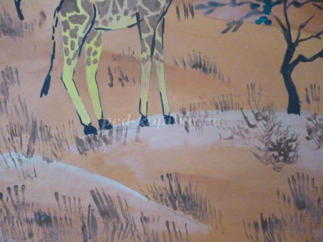 Как нарисовать жирафа ребенку 5 лет