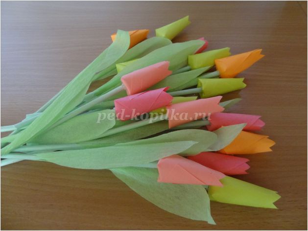 Пошаговая инструкция для изготовления бумажного тюльпана