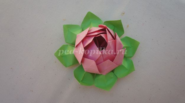 Бумажный Цветок Лотос из листа бумаги. Подробный видео урок оригами для детей. ★★☆☆☆