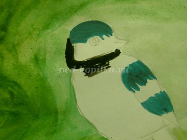Рисунок синицы для ребенка 5 лет