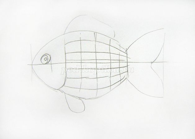 Напишите для чертежника программу рисования следующей картинки рыбка