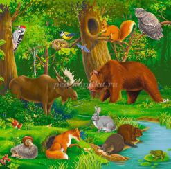 Викторина на тему «Животные леса» для учащихся начальной школы