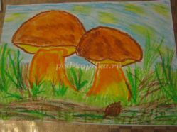 Мастер-класс по рисованию масляной пастелью осенних грибов