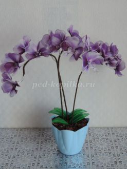 Орхидея фаленопсис из капроновых колгот и проволоки. Мастер-класс с пошаговым фото