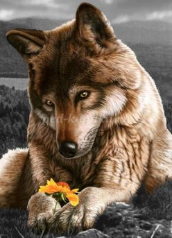 Экологическая беседа «Добрый хищник - волк