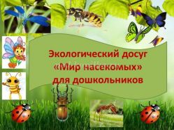Сценарий досуга для детей старшего дошкольного возраста (5-7 лет). Тема: Мир насекомых с презентацией