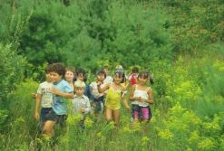 Развлекательная программа «Путешествие в лес» для учащихся пришкольного оздоровительного лагеря