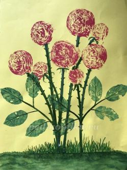 Нетрадиционная техника рисования роз поэтапно с фото. Старшая-подготовительная группа