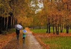 Рассказ об осеннем дожде для дошкольников 5-7 лет