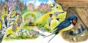 Сценарная разработка игры-путешествия «Птицы «Живой весны» на Слутчине»