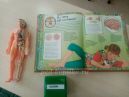 Дидактическая игра по валеологическому воспитанию с использованием кубика Блума «Как устроен мой организм?» для детей подготовительной группы (6-7 лет)