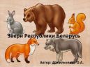 Сценарная разработка познавательной программы «Звери Республики Беларусь»