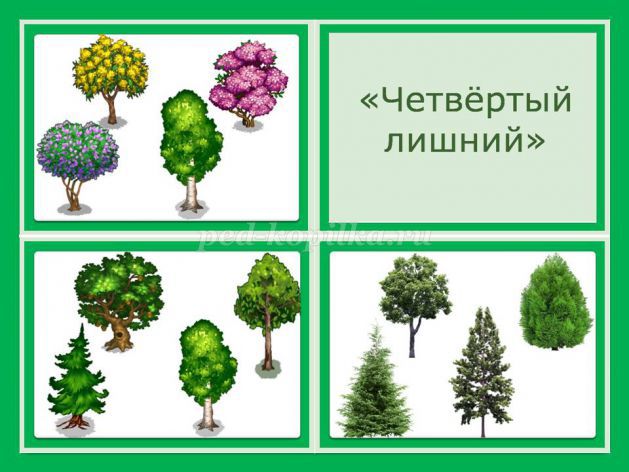 Карточки для развития ребенка деревья
