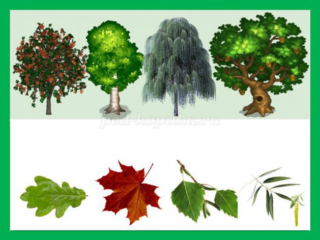Карточки для развития ребенка деревья