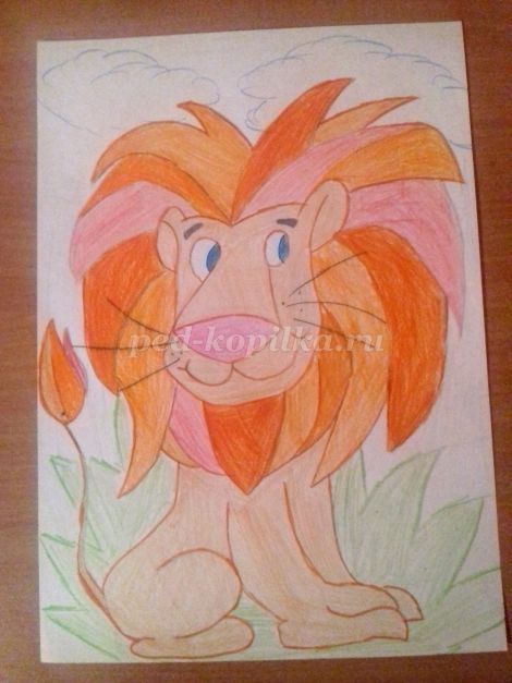 Как нарисовать льва для начинающих: несложные и схематические рисунки карандашом и акварелью