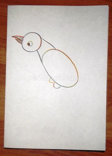 Нарисовать птицу ребенку 5 лет
