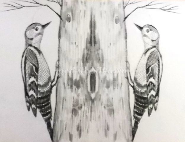 Фото смотреть видео как нарисовать птицу