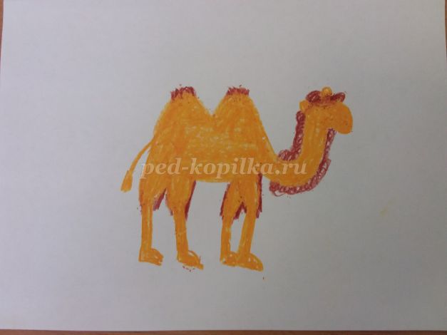 Как нарисовать верблюда ребенку 5 лет