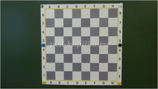 Сколько квадратов на шахматной доске варианты ответов