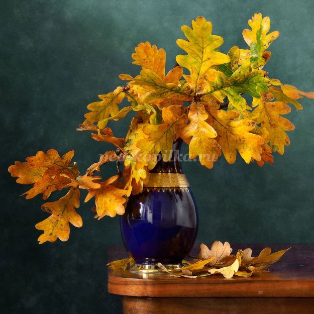 Осенний натюрморт гуашью поэтапно с фото для начинающих