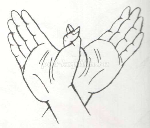 Птички пальчики. Руки сложенные в птицу. Жест птица. Птица руками жест. Кинезиологические упражнения птицы.